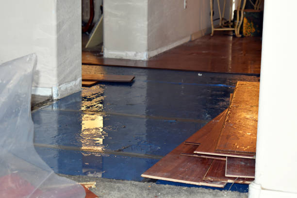 Professional Burst Pipe Cleanup technician working in Prague, NE