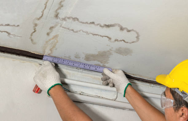Reliable Burst Pipe Cleanup contractor in Prague, NE by Local Water Damage Repair